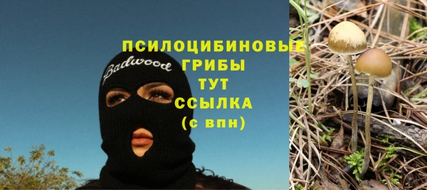 СК Балабаново